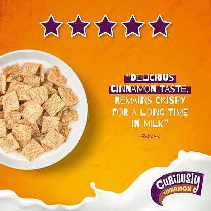 Nestle Curious Cinnamon 375g