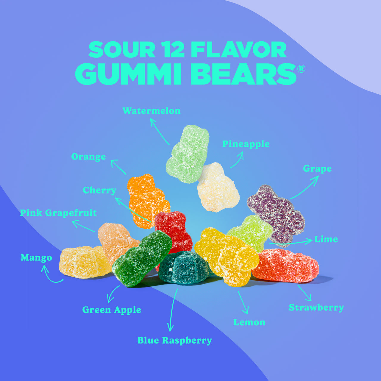 Albanese World's Best Sour Gummi Bears 100g 全球最佳酸熊仔軟糖