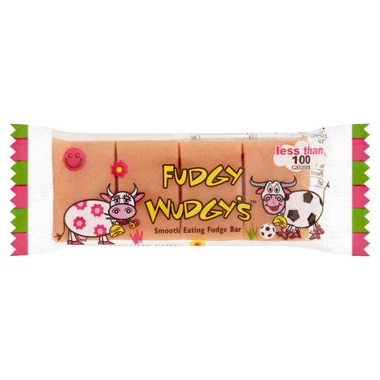 Fudgy Wudgy Fudge Bar 22g